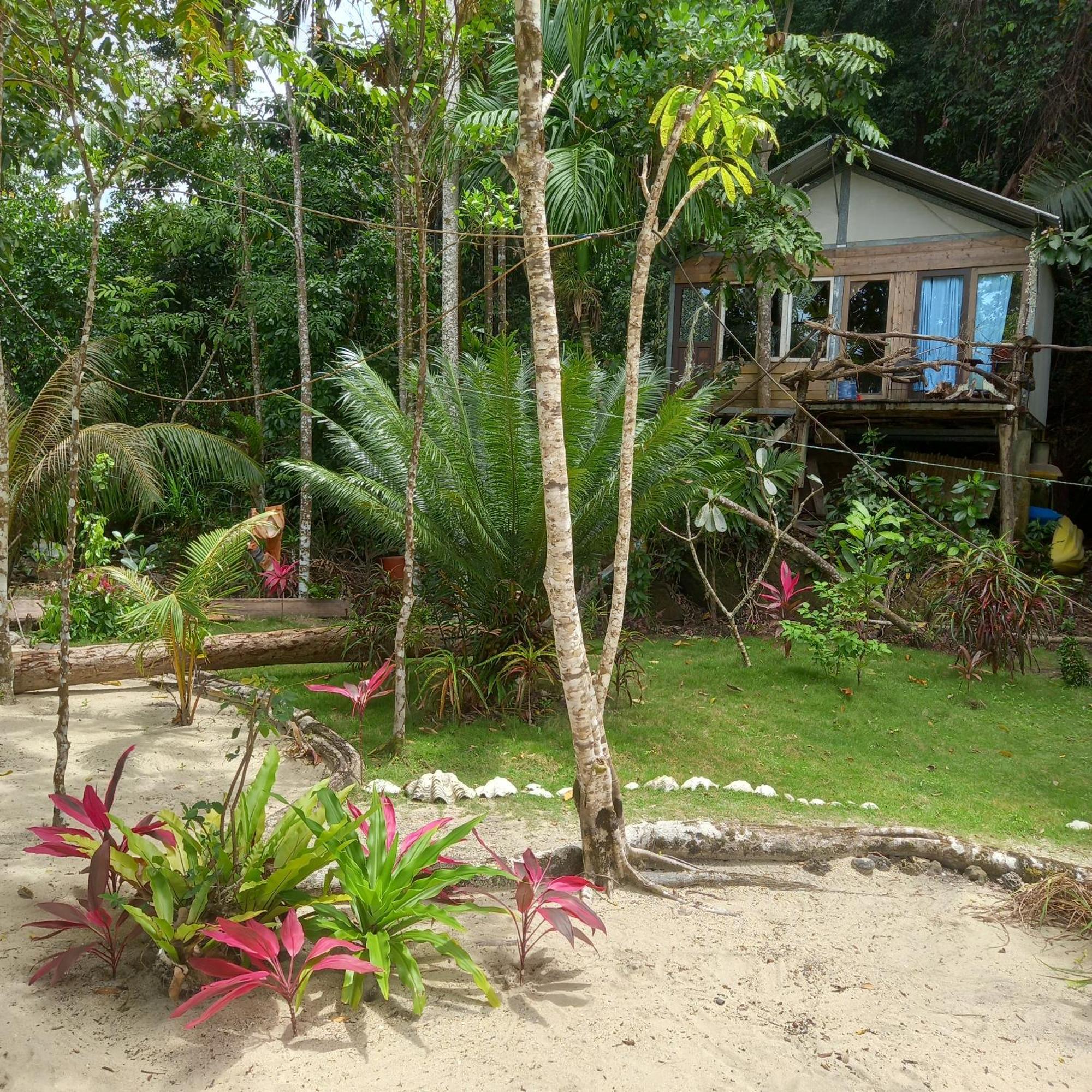 Sumatra Ecolodge Sungaipisang Quarto foto